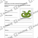 Vorschaubild von Arbeitsblatt