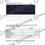 Vorschaubild von Arbeitsblatt