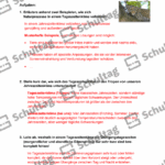 Vorschaubild von Arbeitsblatt