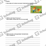 Vorschaubild von Arbeitsblatt