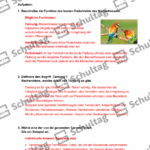 Vorschaubild von Arbeitsblatt