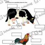 Vorschaubild von Arbeitsblatt