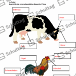 Vorschaubild von Arbeitsblatt