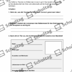 Vorschaubild von Arbeitsblatt