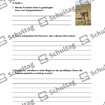 Vorschaubild von Arbeitsblatt