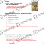 Vorschaubild von Arbeitsblatt