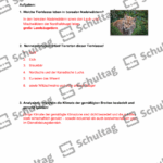 Vorschaubild von Arbeitsblatt