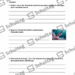 Vorschaubild von Arbeitsblatt