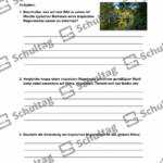 Vorschaubild von Arbeitsblatt