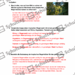 Vorschaubild von Arbeitsblatt