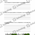 Vorschaubild von Arbeitsblatt