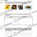 Vorschaubild von Arbeitsblatt