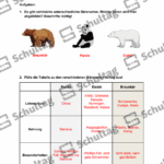 Vorschaubild von Arbeitsblatt