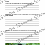 Vorschaubild von Arbeitsblatt