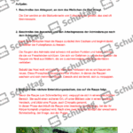 Vorschaubild von Arbeitsblatt