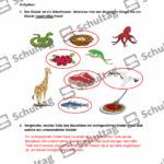 Vorschaubild von Arbeitsblatt