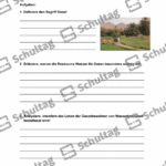 Vorschaubild von Arbeitsblatt