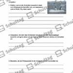 Vorschaubild von Arbeitsblatt