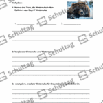 Vorschaubild von Arbeitsblatt