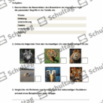 Vorschaubild von Arbeitsblatt