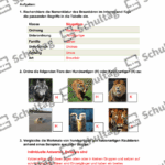 Vorschaubild von Arbeitsblatt