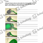 Vorschaubild von Arbeitsblatt