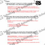 Vorschaubild von Arbeitsblatt