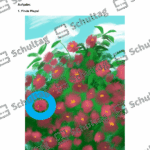 Vorschaubild von Arbeitsblatt