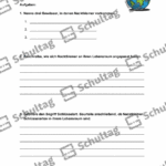 Vorschaubild von Arbeitsblatt