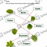 Vorschaubild von Arbeitsblatt