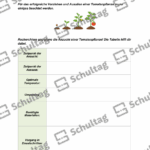 Vorschaubild von Arbeitsblatt