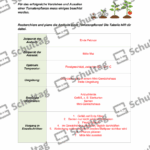 Vorschaubild von Arbeitsblatt