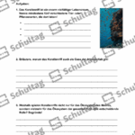 Vorschaubild von Arbeitsblatt