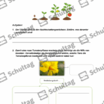 Vorschaubild von Arbeitsblatt