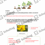 Vorschaubild von Arbeitsblatt