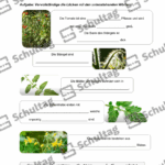 Vorschaubild von Arbeitsblatt