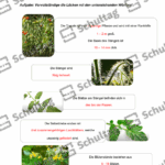 Vorschaubild von Arbeitsblatt