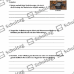 Vorschaubild von Arbeitsblatt