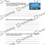 Vorschaubild von Arbeitsblatt