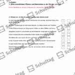 Vorschaubild von Arbeitsblatt