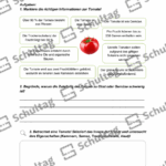 Vorschaubild von Arbeitsblatt