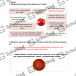 Vorschaubild von Arbeitsblatt