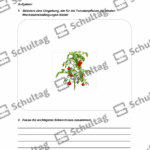 Vorschaubild von Arbeitsblatt