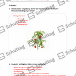 Vorschaubild von Arbeitsblatt