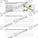 Vorschaubild von Arbeitsblatt