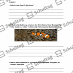 Vorschaubild von Arbeitsblatt