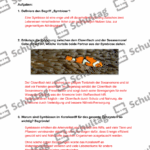 Vorschaubild von Arbeitsblatt