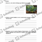 Vorschaubild von Arbeitsblatt