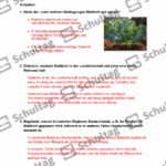 Vorschaubild von Arbeitsblatt