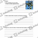 Vorschaubild von Arbeitsblatt